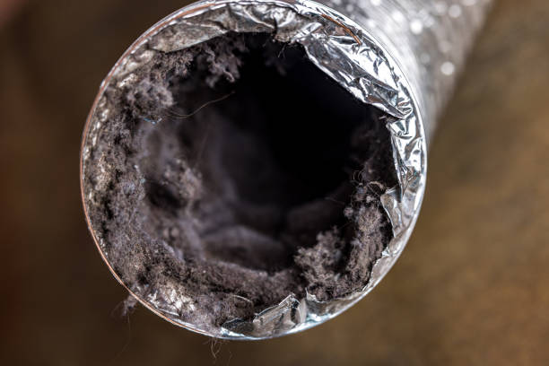 Best Best Air Duct Cleaning Near Me  in Cisco, TX